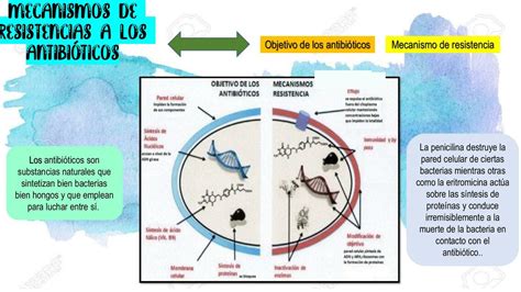 Diagrama explicando el mecanismo de la resistencia a los antibióticos y su propagación