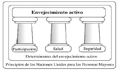 infografía sobre los pilares del envejecimiento activo