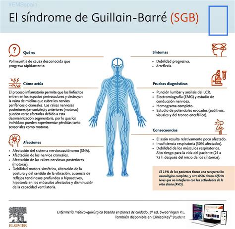 Ilustración mostrando la progresión de los síntomas del SGB, desde las piernas hacia el resto del cuerpo.