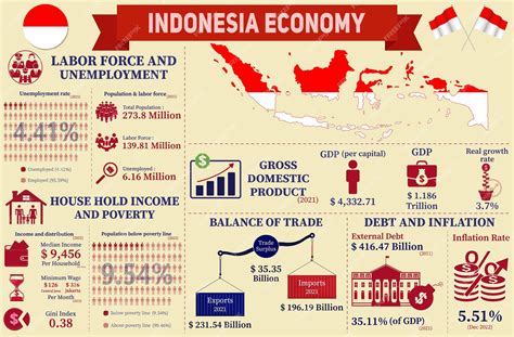 Infografía sobre la práctica del 'pasung' en Indonesia y estadísticas clave