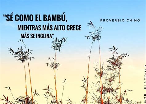 Una ilustración inspirada en el proverbio chino 