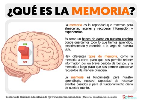 Gráfico ilustrativo que compara la función de la memoria a corto plazo y la memoria de trabajo en diferentes etapas de la vida