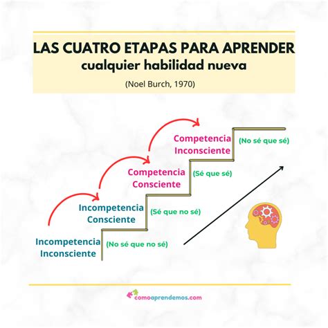 Infografía o esquema de las etapas del aprendizaje de la lectura