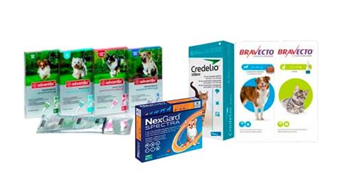 variedad de productos antiparasitarios para perros