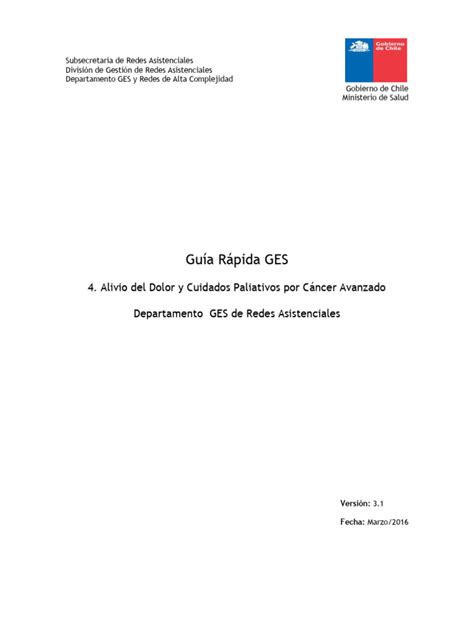 Esquema del flujo de atención en cuidados paliativos GES