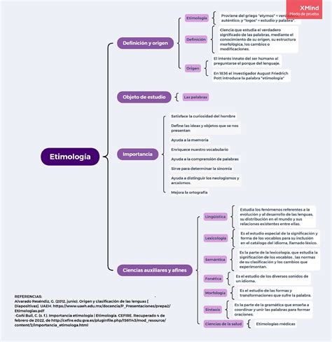 Esquema conceptual que conecta la etimología latina 
