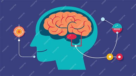 Esquema que muestra la conexión entre la música y diversas áreas de estimulación cerebral en el adulto mayor.