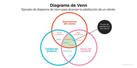 diagrama de Venn mostrando las categorías de necesidades de los cuidadores informales