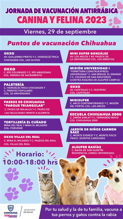 Infografía detallando las vacunas y servicios ofrecidos en las Jornadas de Perros y Gatos, con iconos representativos