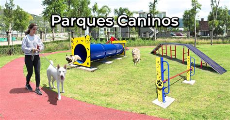 Fotografía de un parque canino con elementos de Agility y perros interactuando