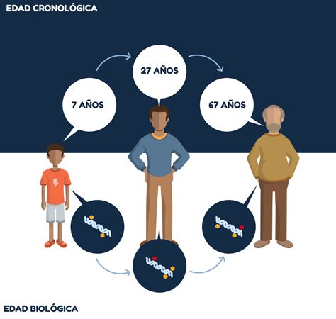 Esquema de las diferentes edades: cronológica, biológica y psicológica
