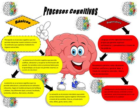 Esquema sobre la integración de los procesos visuales, motores y cognitivos necesarios para la conducción segura.
