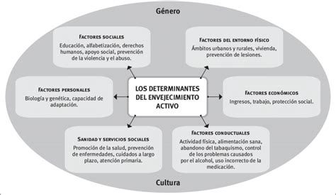Infografía sobre los determinantes del envejecimiento activo