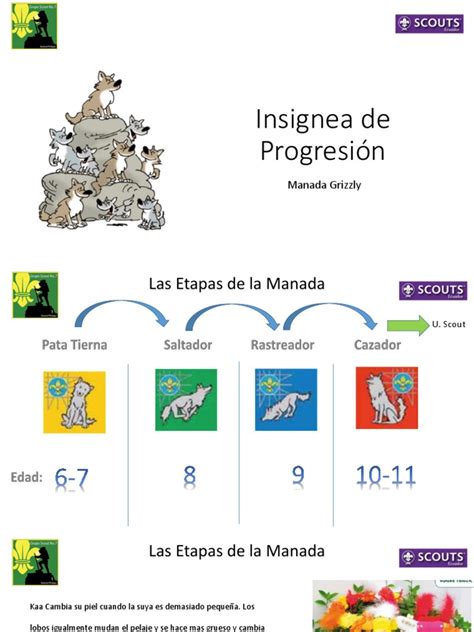 Esquema de las etapas de progresión de la ELA y la integración de los cuidados paliativos