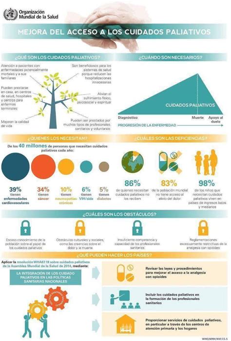 Infografía sobre la necesidad de cuidados paliativos en la vejez