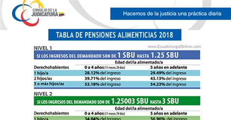 Infografía: Pasos para consultar una deuda de pensión alimenticia en Chile