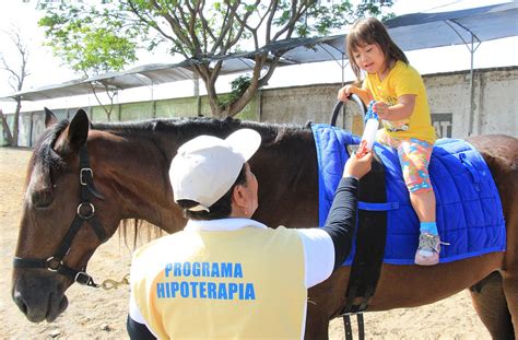 Niños practicando hipoterapia con caballos y terapeutas en un picadero