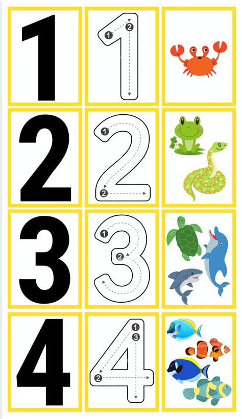 Tarjetas con números para ejercicios de ordenamiento y clasificación.