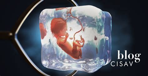 Representación gráfica del proceso de adopción de embriones congelados y su desarrollo.