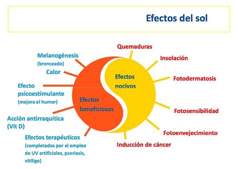 tabla comparativa de los efectos del sol en la piel protegida vs. expuesta