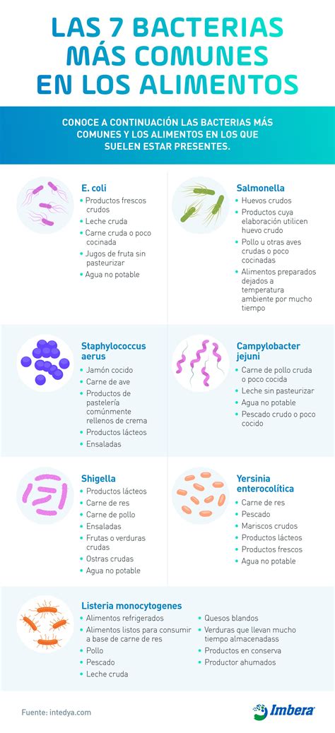 Infografía de los tipos de bacterias más comunes que causan fascitis necrosante