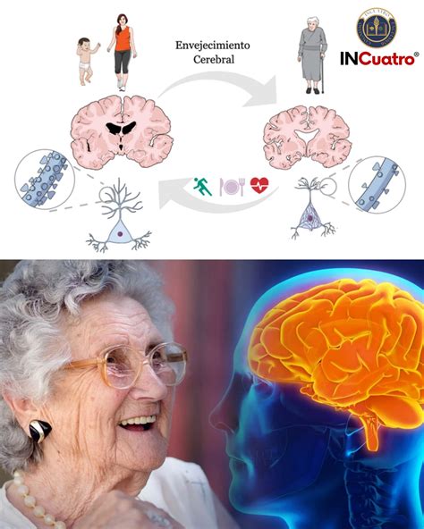 Gráfico que ilustra la interconexión entre deterioro cognitivo, dolor crónico y aislamiento social como causas de agresividad en personas mayores.