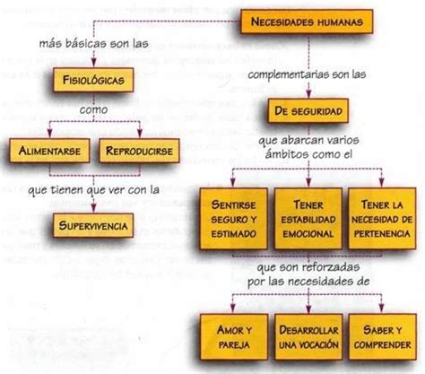 Esquema de las necesidades de las personas mayores
