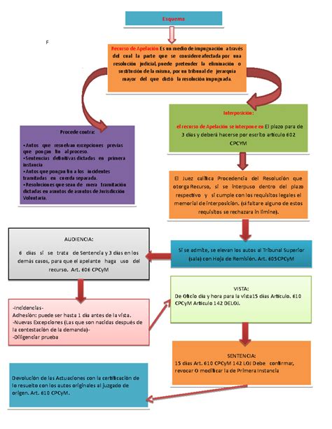 esquema detallado del proceso de apelación de un dictamen de invalidez, incluyendo plazos y organismos