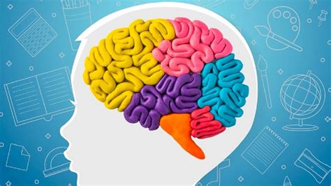 Esquema de las conexiones entre una nutrición adecuada y el desarrollo cerebral en niños