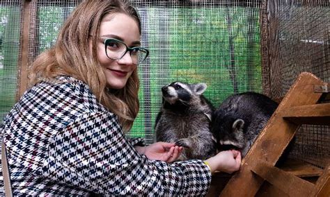 Ilustración mostrando las cualidades necesarias para un cuidador de animales marinos: pasión, paciencia, empatía y condición física.