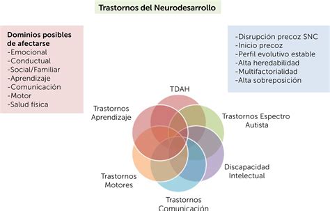Esquema sobre la definición y tipos de trastornos facticios