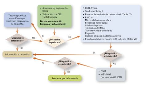 Algoritmo de aproximación diagnóstica para el retraso global del desarrollo/discapacidad intelectual estático no sindrómico