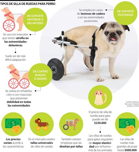 Infografía: Cómo medir a un perro para una silla de ruedas