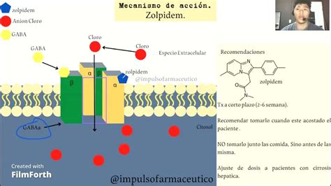 Esquema del mecanismo de acción del zolpidem en los receptores GABA-omega