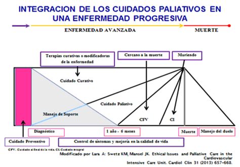 Esquema de las dimensiones de la evaluación integral en cuidados paliativos