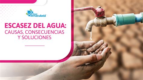 Gráfico: Causas, efectos y soluciones de la escasez económica