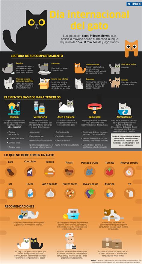Infografía sobre el VIF en gatos