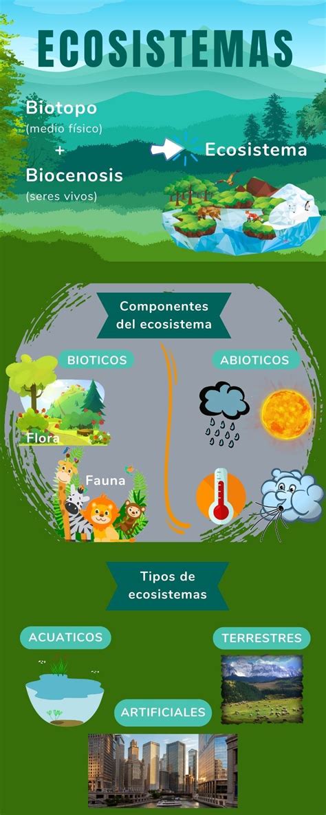 Infografía sobre la interconexión entre los seres humanos y los ecosistemas, destacando la provisión de recursos y la generación de desechos.