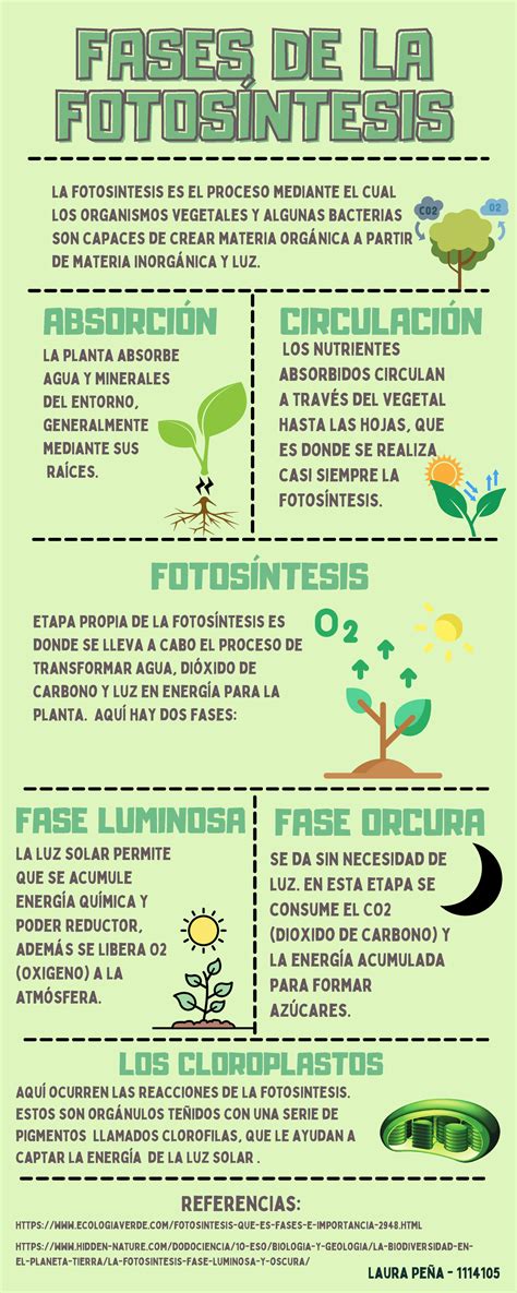 Infografía sobre el proceso de postulación y fases de financiamiento de proyectos en SENADIS