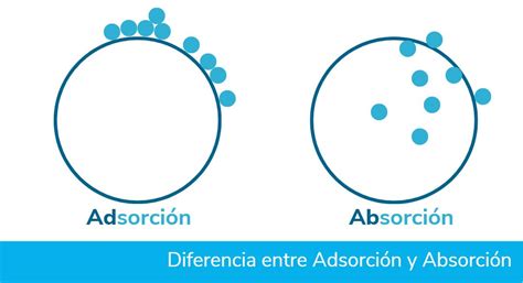 Gráfico mostrando la diferencia de absorción y duración de efectos entre cannabis fumado/vapeado y comestible