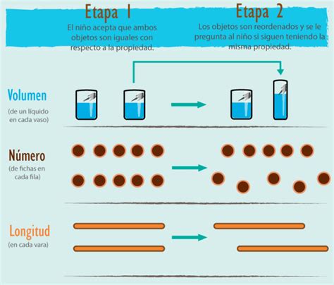 Esquema del experimento de conservación de líquidos de Piaget