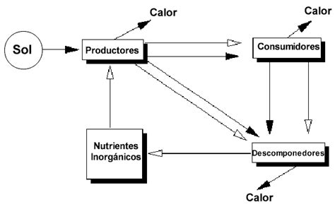 Diagrama del flujo de energía desde la generación hasta el consumidor, mostrando los roles de OMIE y REE.