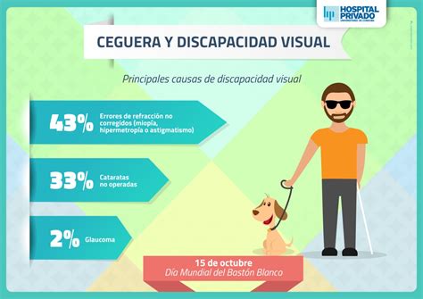 Infografía: principales causas de ceguera y discapacidad visual a nivel mundial por porcentaje