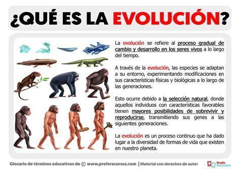 Diagrama de evolución del DLE a lo largo de tres siglos