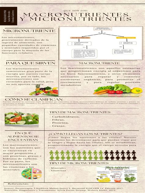 Infografía detallando los macronutrientes y micronutrientes del arroz con leche.