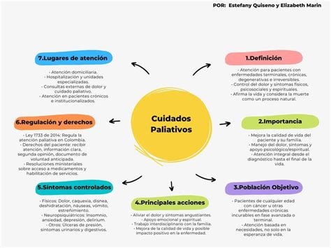 Mapa mundial de acceso a cuidados paliativos destacando diferencias socioeconómicas y geográficas