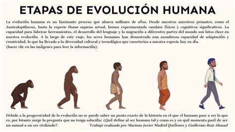 Esquema sobre la evolución de los términos para referirse a las personas mayores