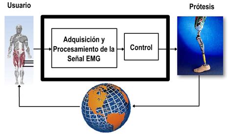 Diagrama de control de prótesis robótica mediante señales cerebrales o mioeléctricas