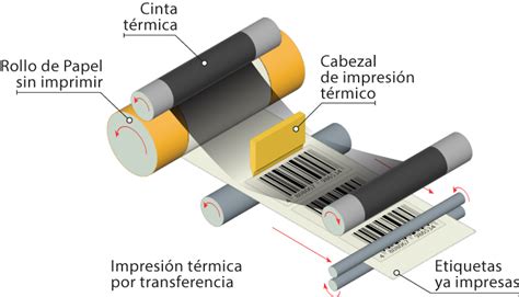 Esquema visual del proceso de impresión por re-transferencia térmica para credenciales
