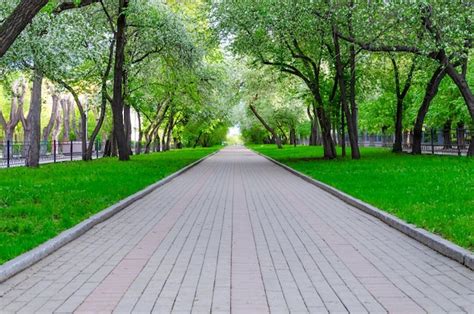 Parque amplio y bien cuidado de un geriátrico, con árboles y césped, ideal para paseos
